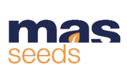 mass seed